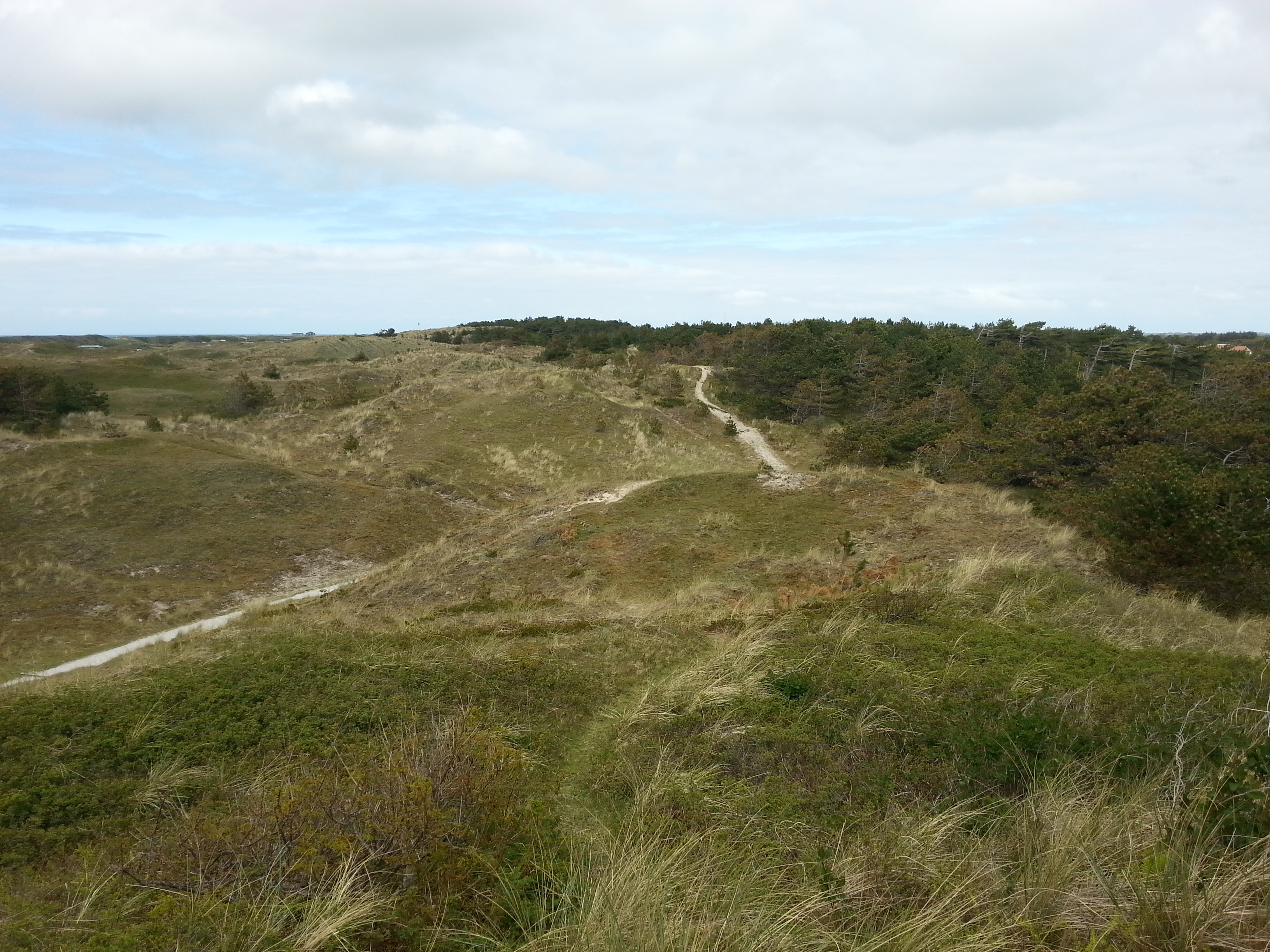 HWK Texel 056.jpg